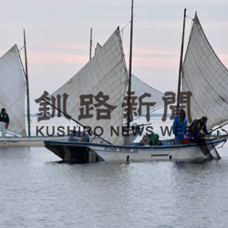 初夏告げるシマエビ漁　野付湾で初出漁(2020-07-01)