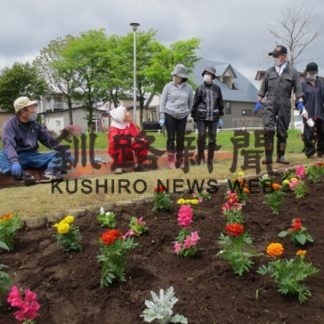 かつら公園花壇、苗２００株を植栽(2020-06-20)