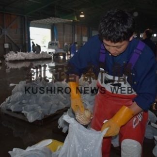 町内全世帯に活ホタテ無償配布(2020-06-27)