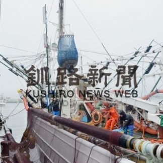 マイワシ好調も価格暴落(2020-06-16)