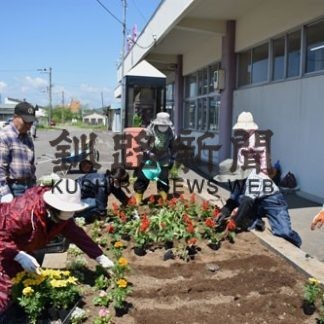 白糠駅前花壇に２００株植栽(2020-06-19)