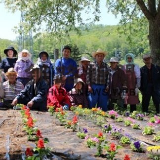 縫別地区協議会が自然の家と簡易郵便局の花壇整備　(2020-06-04)