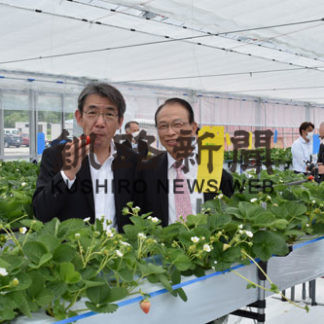 「阿寒をイチゴの産地に」(2020-06-07)