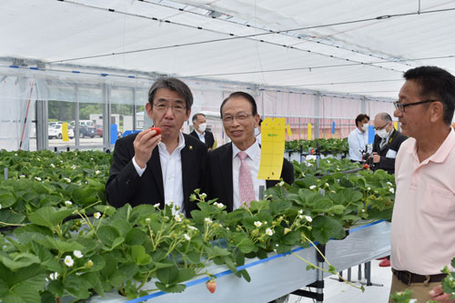 「阿寒をイチゴの産地に」(2020-06-07)