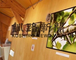 シマエナガに癒やされて　別海・野付半島ネイチャーセンターで写真展(2020-06-21)