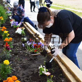 鳥取小で花壇整備(2020-06-17)