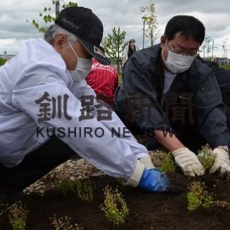 プロムナードの花壇を整備(2020-06-09)