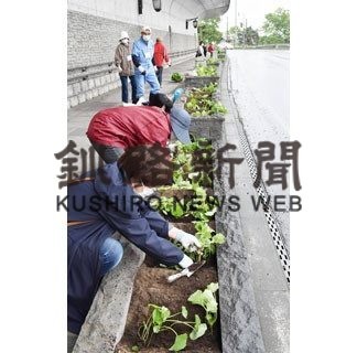 富士見坂でキンレンカ植栽(2020-06-29)