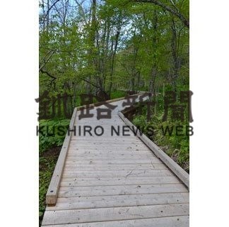 達古武オートキャンプ場　木道の一部改修　(2020-06-04)