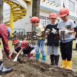 はるとり保育園でジャガイモ植え(2020-06-16)