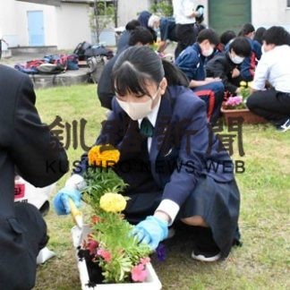 釧路東高生、地域を花で彩り　苗３００株植栽(2020-07-26)
