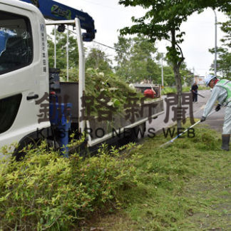 本田組が鳥取公園通の市道を草刈り(2020-07-14)