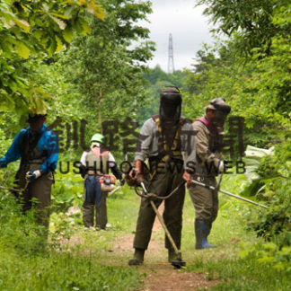 サミットの森、散策気持ちよく　緑化管理組合など草刈り(2020-07-02)