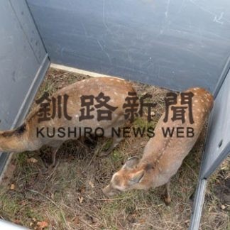 エゾシカ市街地捕獲　今年度も(2020-07-31)