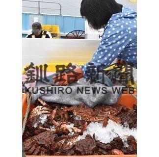 花咲ガニ５・２㌧初水揚げ　価格は低迷(2020-07-12)