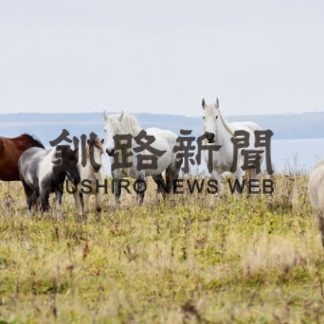 ユルリ島魅力発信に寄付を。ＣＦ型ふるさと納税開始(2020-07-05)