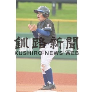 軟式野球なごみ杯、ゴールデンモンキーズと清明が決勝へ(2020-07-14)_1