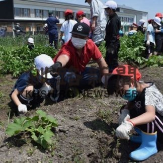 中標津農業高生が児童に畑管理伝授(2020-07-30)