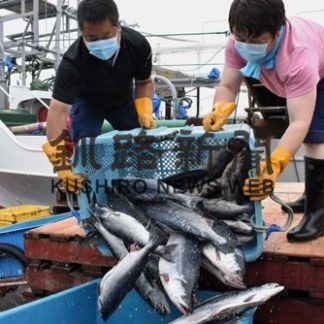 ５年め水揚げ２７．６㌧　２００㌋曳き網試験操業(2020-07-25)