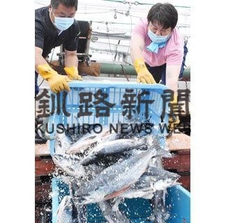 ベニ競り値　前年やや上昇(2020-07-26)