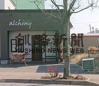 釧路市街地にシカ多発(2020-07-31)