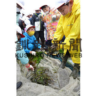 魚やエビに歓声　翔洋高と真龍小が磯採集(2020-07-08)