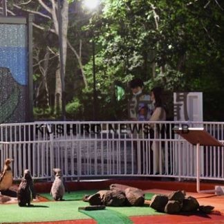 夜の動物園楽しい(2020-07-26)