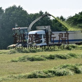 一番草の収穫急ピッチ　雨で遅れ、「質心配」の声(2020-07-07)