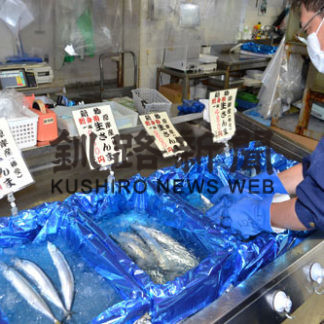 サンマ１匹１２００円　初競り後店頭に(2020-08-25)