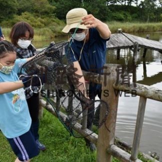 ウチダザリガニ生態学ぶ　春採湖畔で自然観察会(2020-08-30)