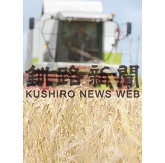 厚岸産ウイスキー用、金色の麦穂収穫(2020-08-29)