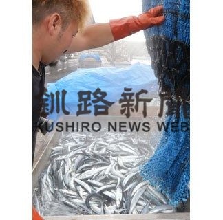 サンマ水揚げわずか６．７㌧(2020-08-27)