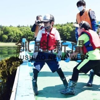 阿寒湖小児童、マリモ保護へ水草除去(2020-08-28)