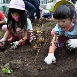 ジャガイモ掘り、楽しいね(2020-08-23)