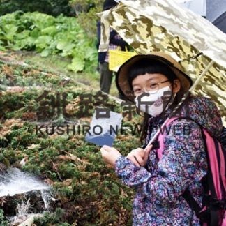 クモの網採取し標本づくり(2020-08-10)