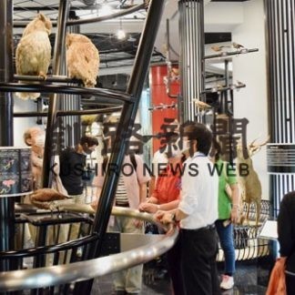 長期滞在者が博物館ツアーで歴史に触れる(2020-08-20)