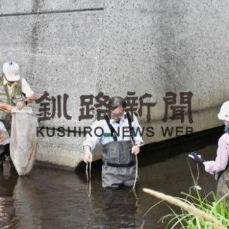 イトウの遡上環境調査(2020-08-20)