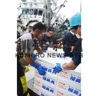 厚岸でサンマ初水揚げ６００キロ、昨年の１％(2020-08-24)