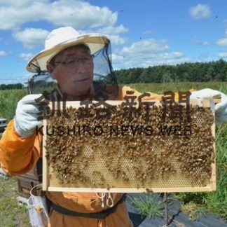 釧路湿原の花で蜂蜜づくり(2020-08-19)