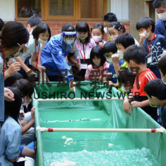 防災キャンプで津波の仕組み学ぶ(2020-09-24)