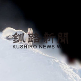 「自然写真」で全国入賞　釧路の佐藤さん白いエゾリス撮影(2020-09-30)