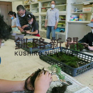 コケ玉作りに挑戦(2020-09-24)