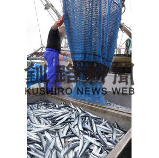 ８月道東、サンマ水揚げ９割減(2020-09-09)