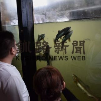 サケの遡上 悠々と(2020-09-12)