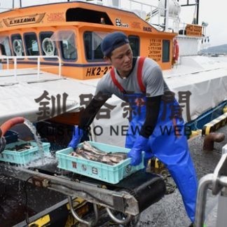 ホッケ刺し網漁初日、漁獲量前年の３割(2020-09-17)