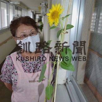 【霧笛】ひまわり(2020-09-13)