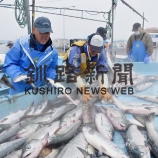 秋サケ定置網前浜活況、初日水揚げまずまず(2020-09-05)