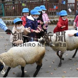 昭和小の羊、標茶町育成牧場に返却(2020-10-24)