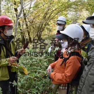 京大自然観察会が森林や植物解説(2020-10-28)