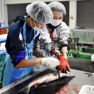 領土学習で知床未来中生が新巻き鮭作りに悪戦苦闘(2020-10-28)